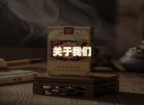 关于我们